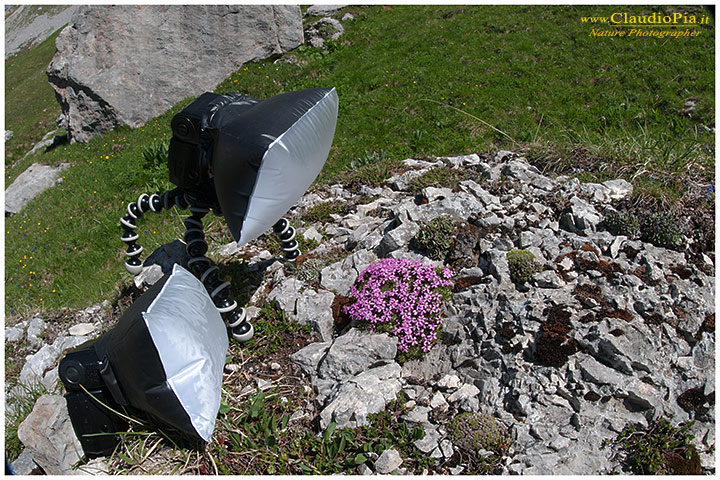 backstage settings claudio pia, fotografia naturalistica